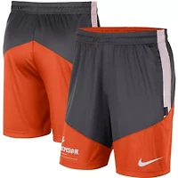 NCAA Nike Anthracite/Orange Clemson Tigers Team Performance Knit Shorts