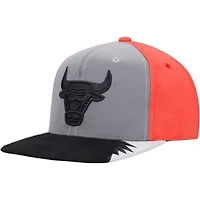 NBA Gray/Red Chicago Bulls Day 5 Snapback Hat