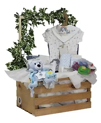 Baby Boys and Girls 29-Piece Complete Shower Wardrobe Gift Crate