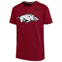 NCAA Nike Arkansas Razorbacks Logo Legend Performance T-Shirt