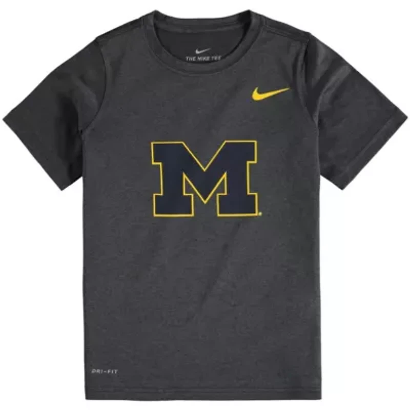 NCAA Nike Michigan Wolverines Logo Legend Performance T-Shirt