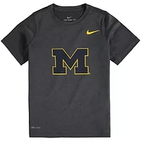 NCAA Nike Michigan Wolverines Logo Legend Performance T-Shirt