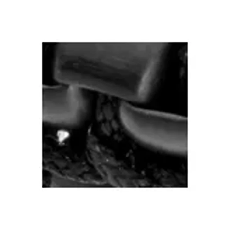 Stainless Steel 2 Row Bracelet with Black Ion Plating