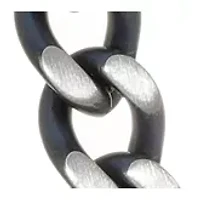 Stainless Steel Two Tone Neck with Gray IP 24 Inch Chain