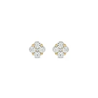 Lab Created 5/8 Carat Lab Grown Diamond Floral Timeless Sparkle Earring in 10KT Yellow Gold