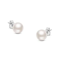14K White Gold White 7.5-8.0MM Saltwater Akoya Cultured Pearl Stud Earrings