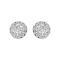 Lab Created 14K White Gold 1/2 Ct Lab-Grown Diamond Halo Stud Earring