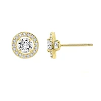 Lab Created Yellow Gold Clad Sterling Silver Earrings
