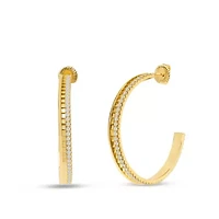 Viviana Gold Hoop Earrings