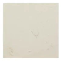 2 Tone Shaky Magnetic Bracelet 