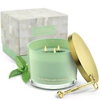 Eucalyptus & Spearmint Home Candle Gift Set & Wax Trimmer, 2-Pc. Soy Candles