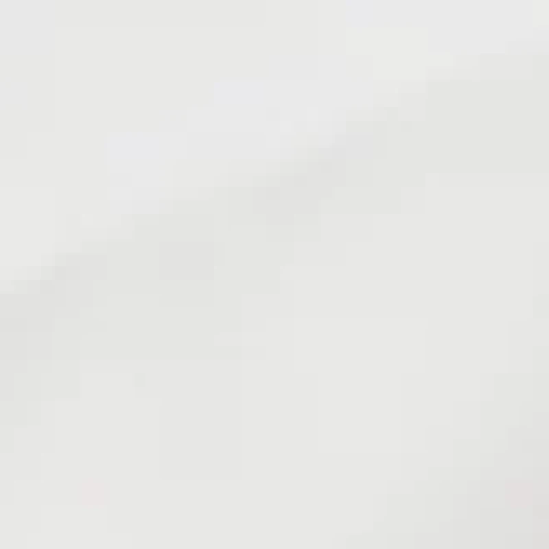 Down Alternative Blanket