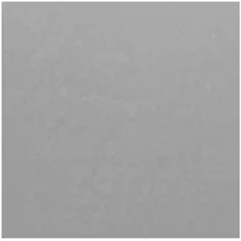 5 Piece Bed a Bag Comforter and Sheet Set