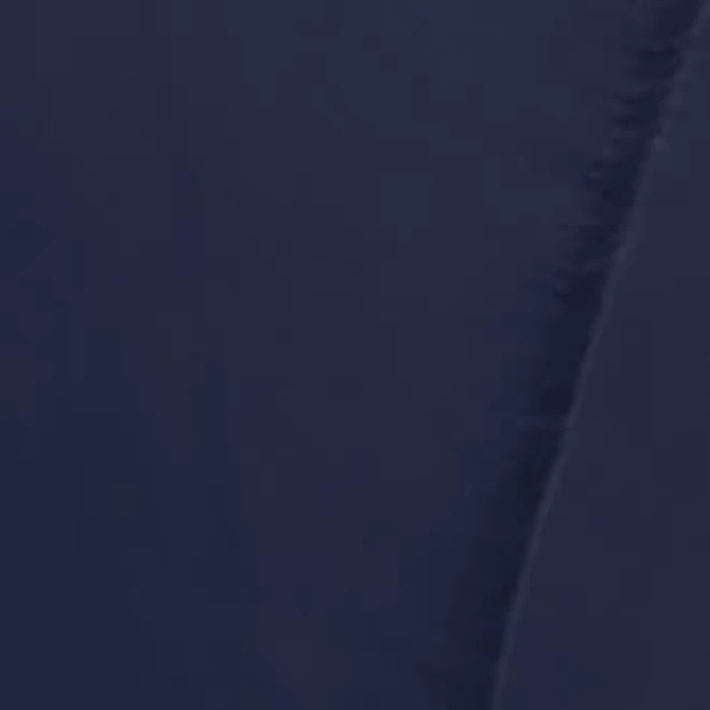 Microfiber Reversible Down Alternative Comforter