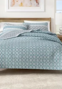 Striped Paisley Quilt Set