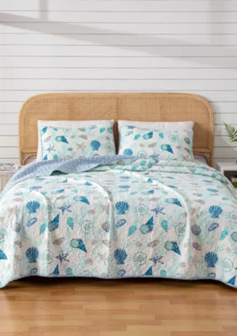Blue Seashell Quilt Set