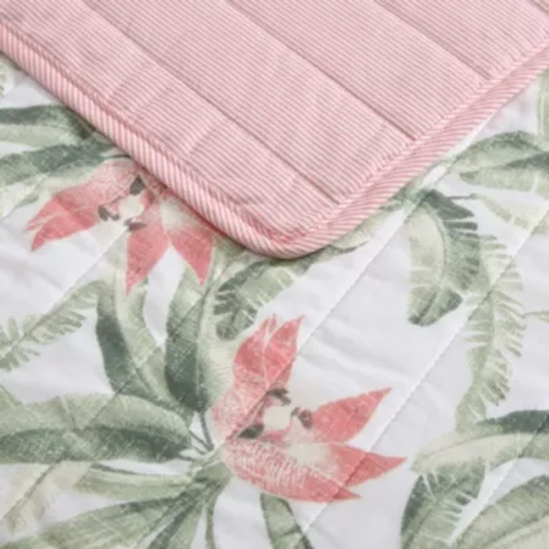 Acapulco Palms 100% Cotton Quilt-Sham Set