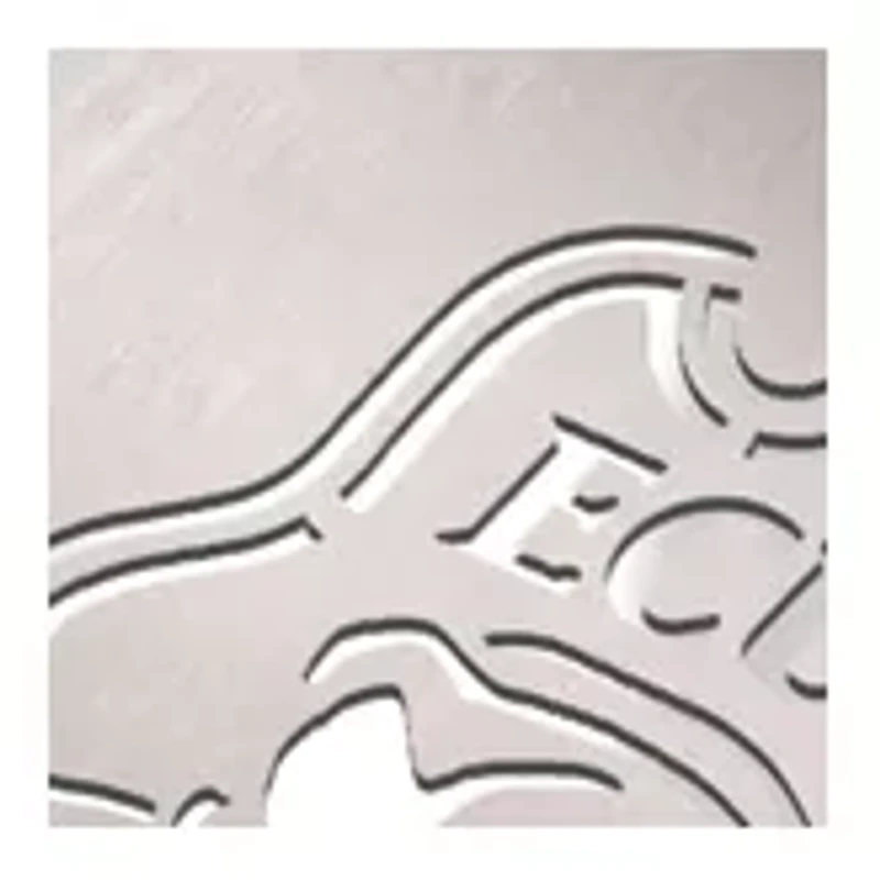 YouTheFan NCAA East Carolina Pirates Spirit Series 3-Piece BBQ Set