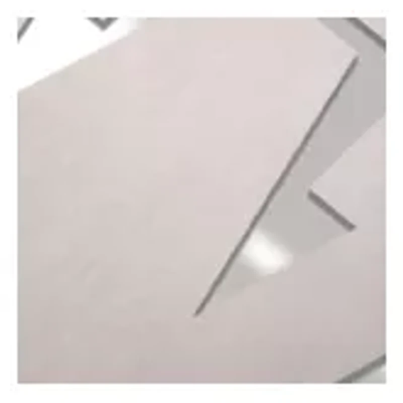 YouTheFan NCAA Washington Huskies Spirit Series Sportula