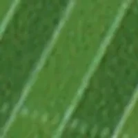 YouTheFan NCAA Texas Longhorns 3D StadiumView Coasters - Darrell K Royal–Texas Memorial Stadium