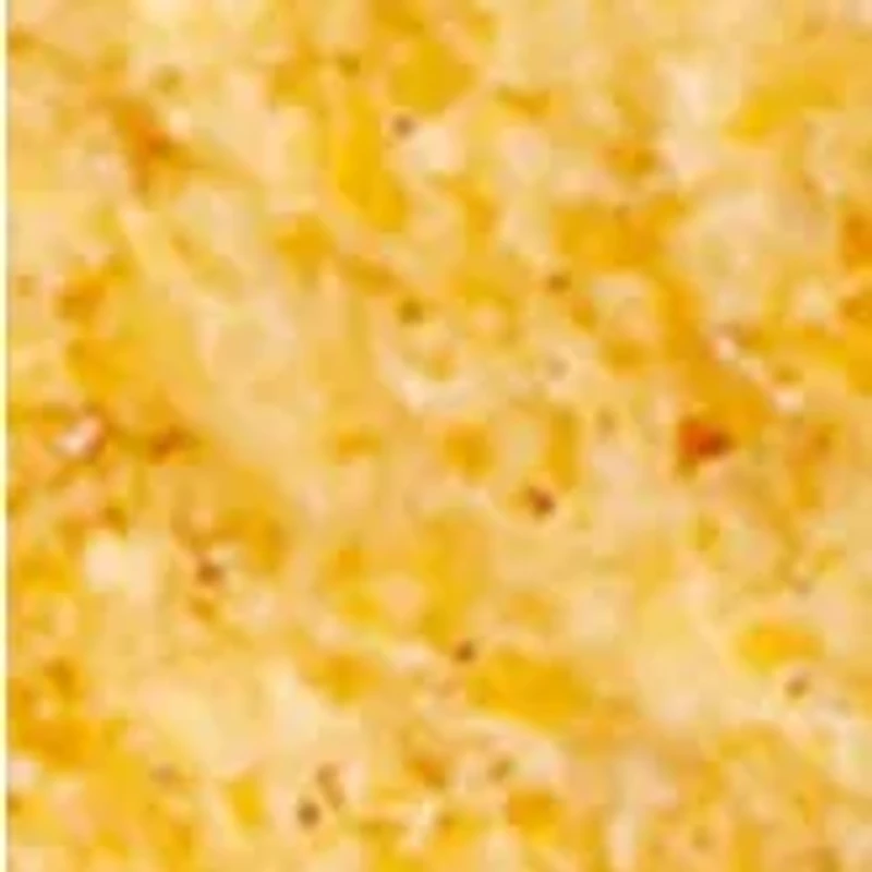 YouTheFan NCAA Washington Huskies 3D StadiumView Coasters - Husky Stadium