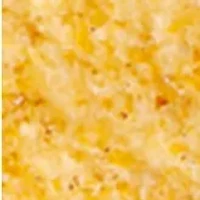 YouTheFan NCAA Washington Huskies 3D StadiumView Coasters - Husky Stadium