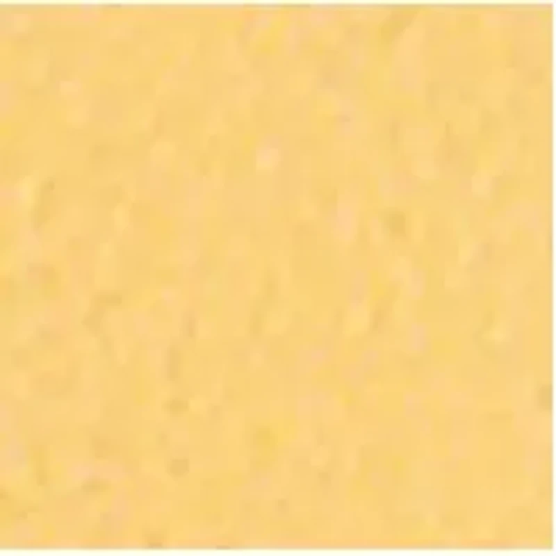 YouTheFan NCAA Washington Huskies 3D StadiumView Coasters - Husky Stadium