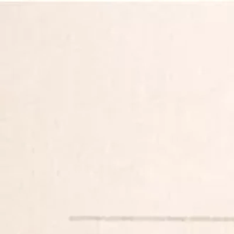 YouTheFan NFL Carolina Panthers 5-Layer StadiumView 3D Wall Art - Bank of America Stadium