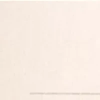 YouTheFan NFL Carolina Panthers 5-Layer StadiumView 3D Wall Art - Bank of America Stadium