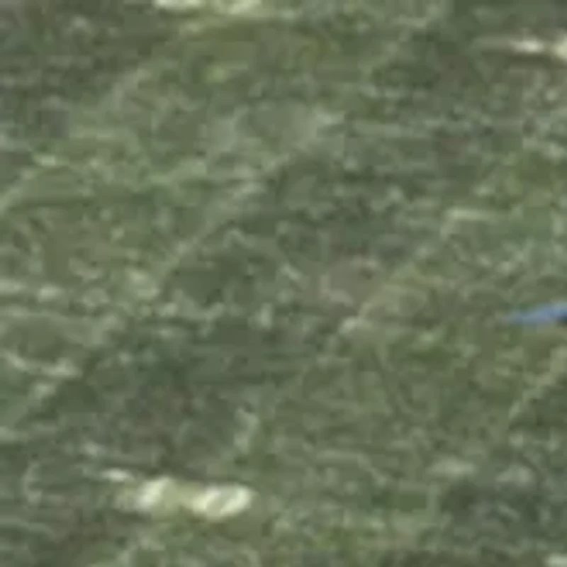 YouTheFan NFL Carolina Panthers 5-Layer StadiumView 3D Wall Art - Bank of America Stadium