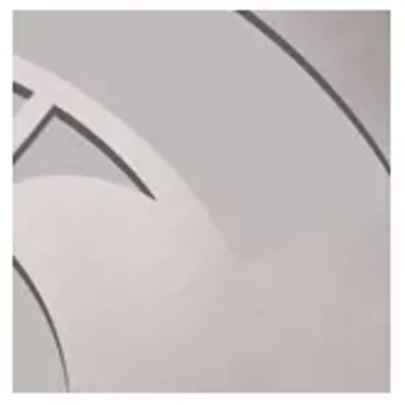 YouTheFan NCAA Michigan State Spartans Classic Series Sportula