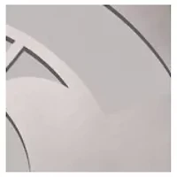 YouTheFan NCAA Michigan State Spartans Classic Series Sportula