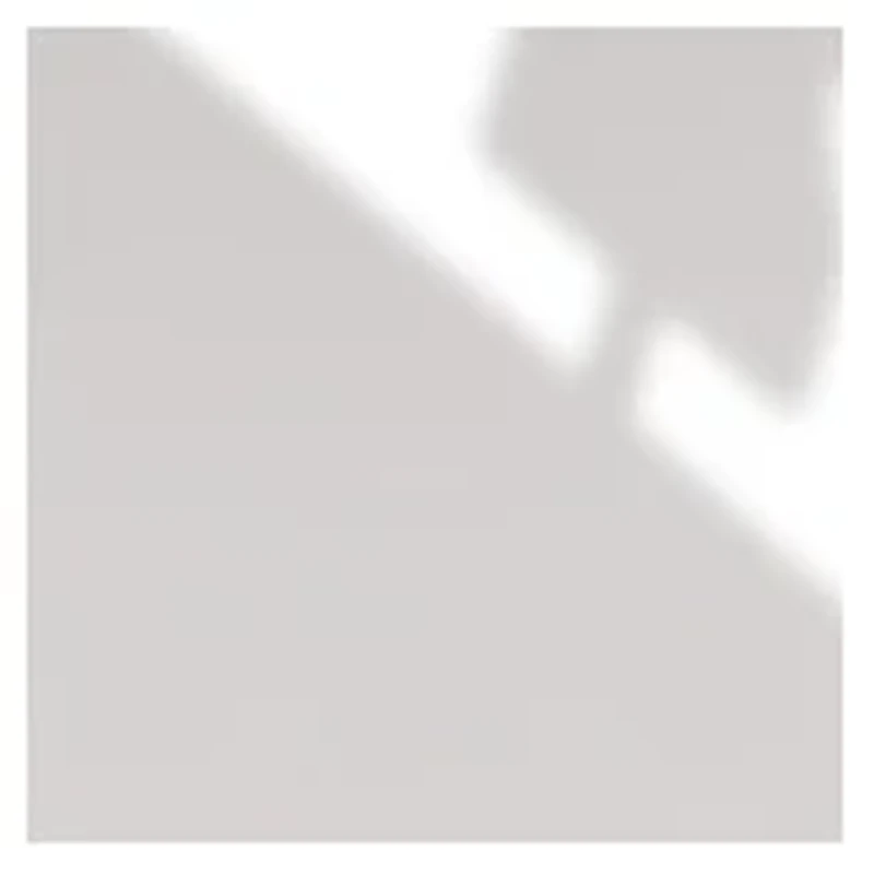 YouTheFan NCAA Mississippi State Bulldogs Classic Series Sportula