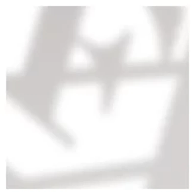 YouTheFan NCAA Wake Forest Demon Deacons Classic Series Sportula