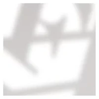 YouTheFan NCAA Wake Forest Demon Deacons Classic Series Sportula