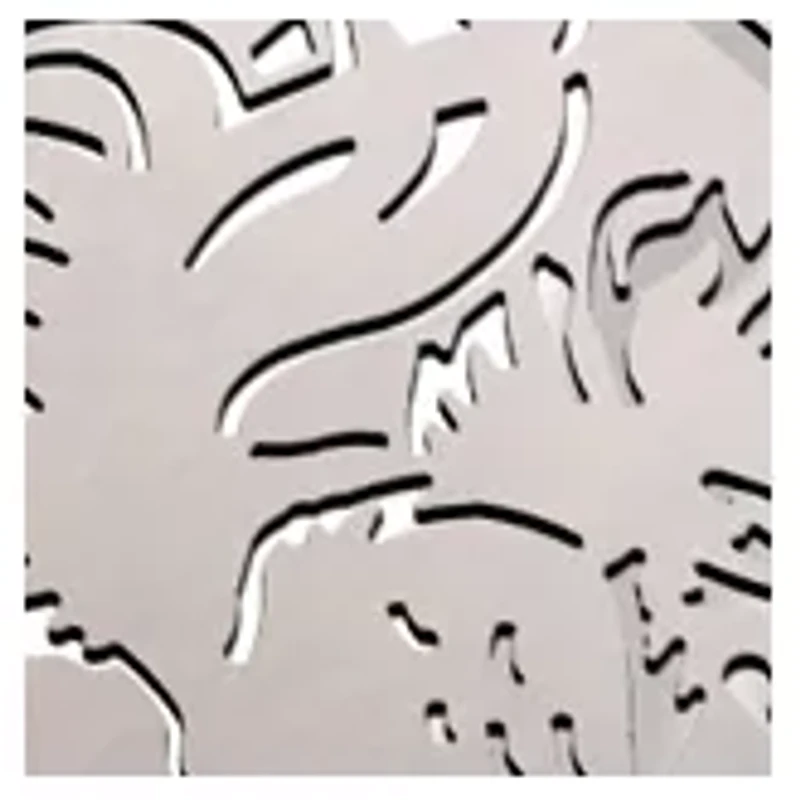 YouTheFan NCAA South Carolina Gamecocks Classic Series Sportula