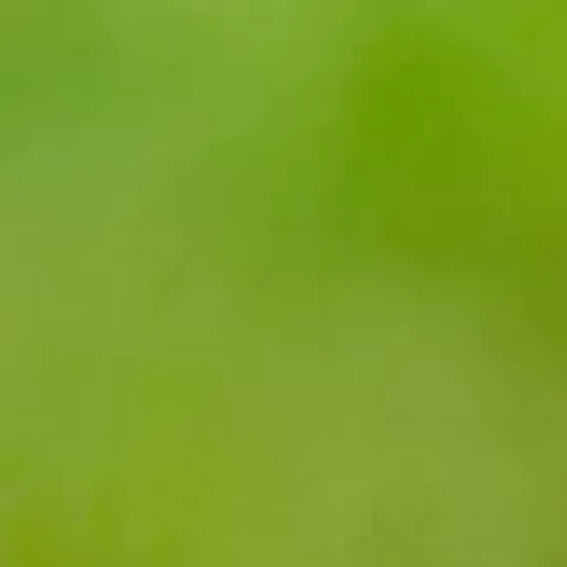 YouTheFan NFL Baltimore Ravens Classic Series 3-Piece BBQ Set