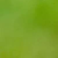 YouTheFan NFL Cincinnati Bengals Classic Series 3-Piece BBQ Set