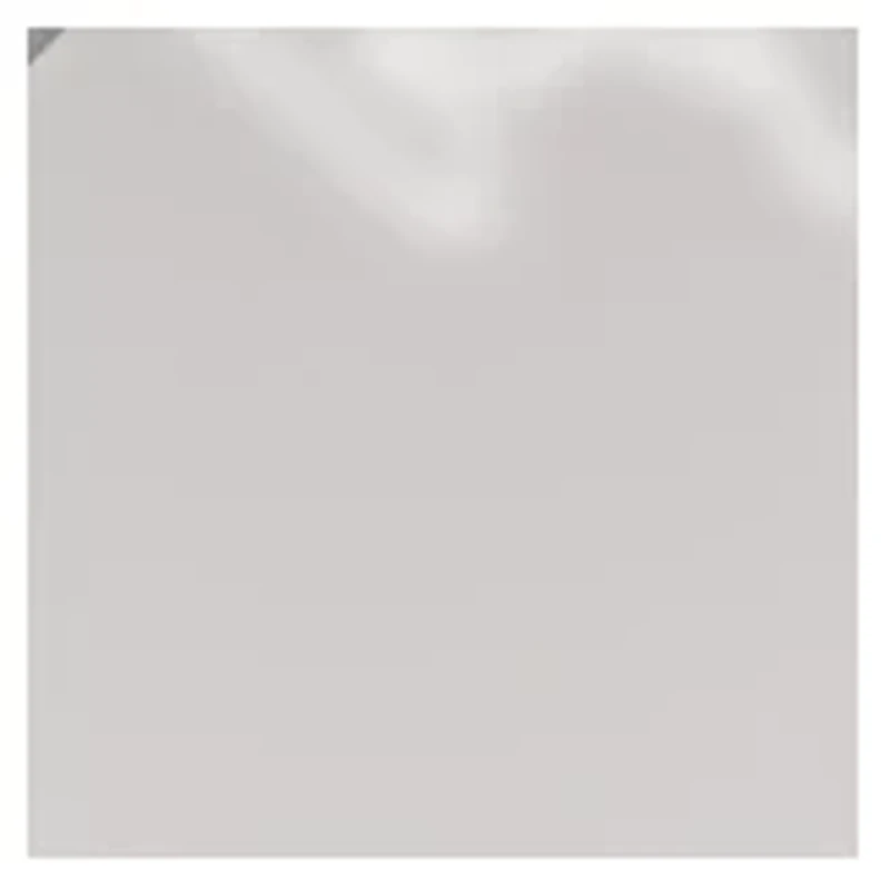 YouTheFan NFL Detroit Lions Classic Series Sportula