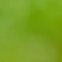 YouTheFan NFL Detroit Lions Classic Series 3-Piece BBQ Set