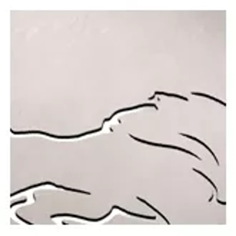 YouTheFan NFL Detroit Lions Classic Series 3-Piece BBQ Set