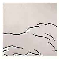 YouTheFan NFL Detroit Lions Classic Series 3-Piece BBQ Set