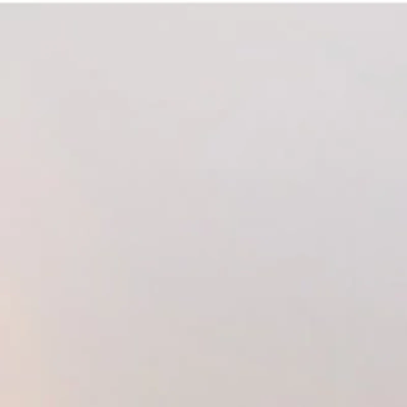 YouTheFan NFL Atlanta Falcons Classic Series Sportula