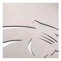 YouTheFan NFL Carolina Panthers Classic Series 3-Piece BBQ Set