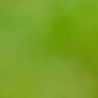 YouTheFan NFL Dallas Cowboys Classic Series 3-Piece BBQ Set