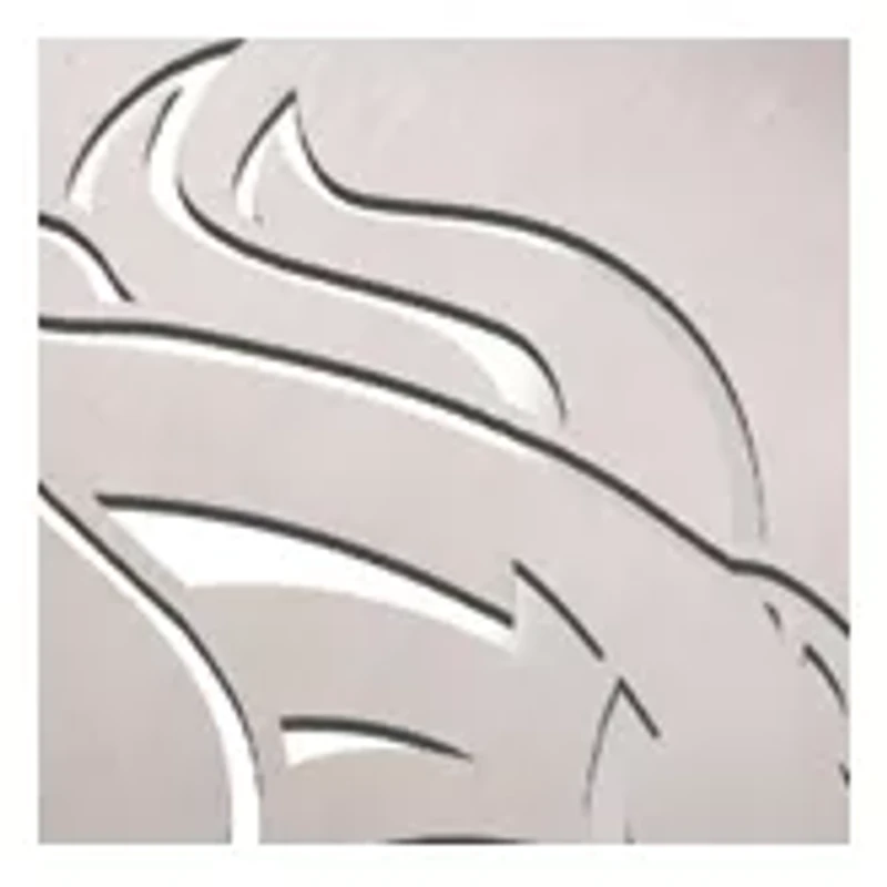 YouTheFan NFL Denver Broncos Classic Series 3-Piece BBQ Set