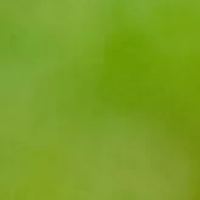 YouTheFan NFL Denver Broncos Classic Series 3-Piece BBQ Set