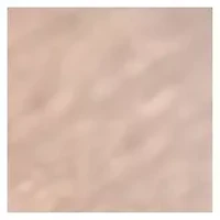 YouTheFan NFL San Francisco 49ers Classic Series Sportula