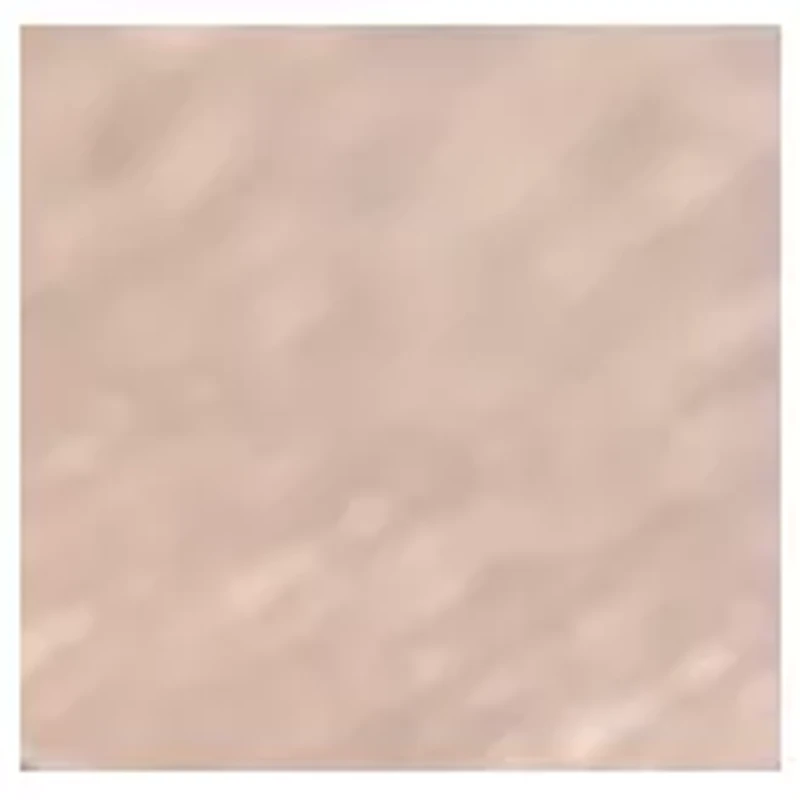 YouTheFan NFL Seattle Seahawks Classic Series Sportula