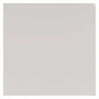 YouTheFan NCAA TCU Horned Frogs Classic Series Sportula